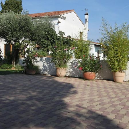 בובר Site Machambreencamargue מראה חיצוני תמונה