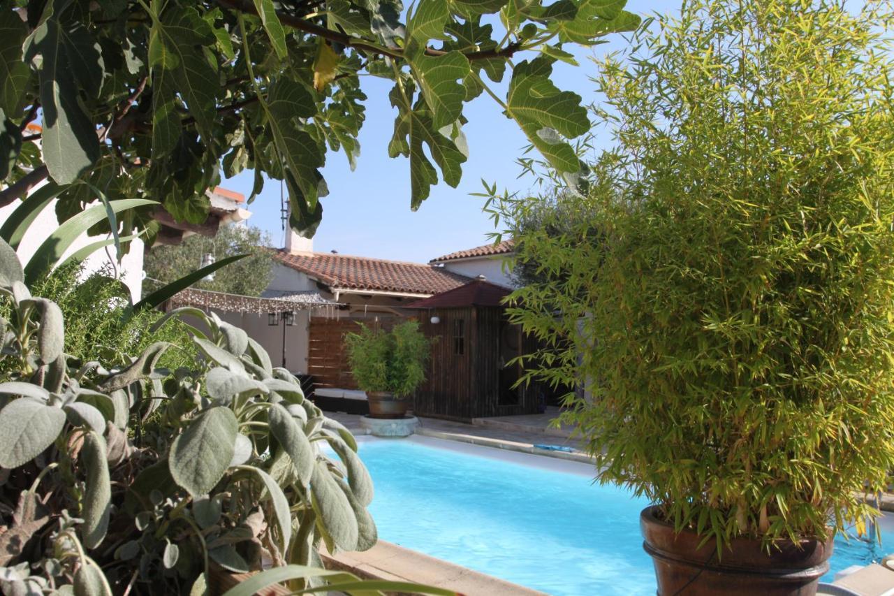בובר Site Machambreencamargue מראה חיצוני תמונה